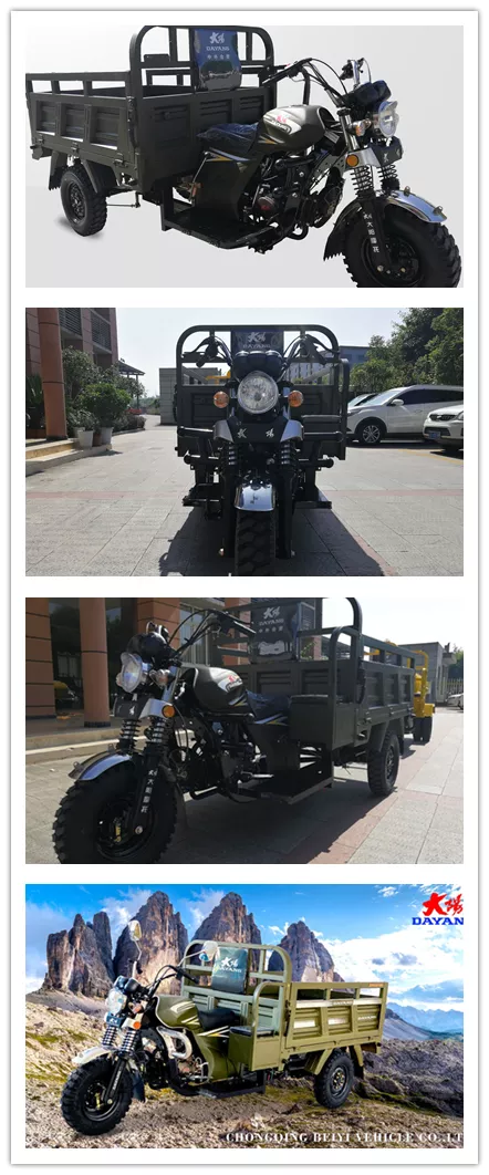 Hight Quality Light loading truck 175CC 200CC 250CC Motorcycle Tricycle 3 Wheel Cargo for Adult Origin Type Driving Size