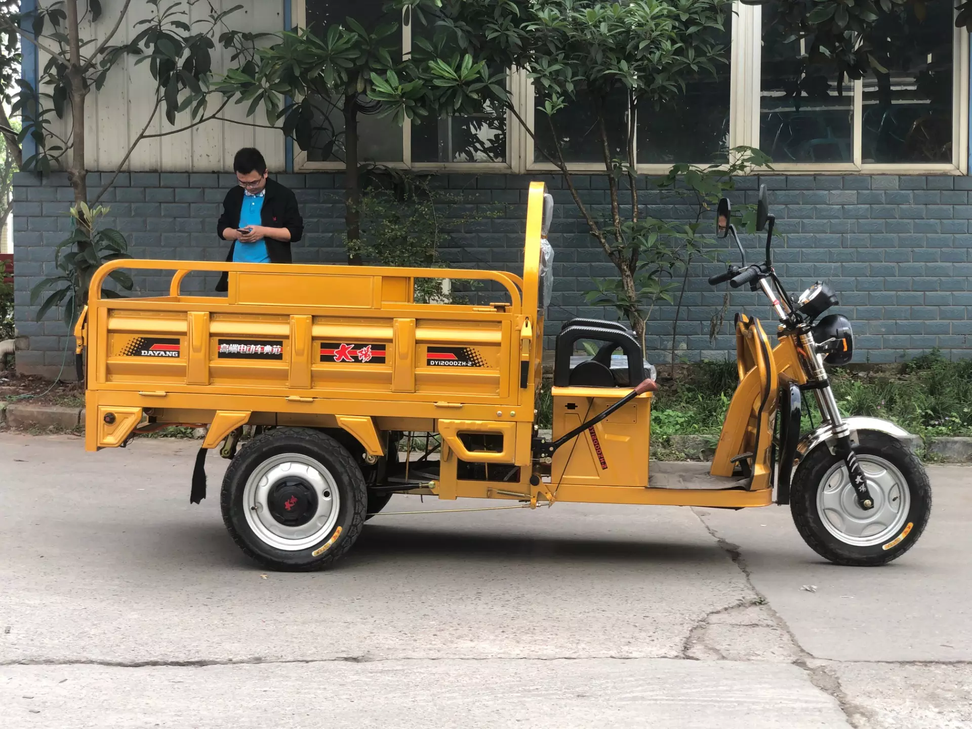 DAYANG Cheap Adults 3 Wheel Electric Tricycle Price Shipping China Max Body Customized Motor Power Battery Color Brake Origin