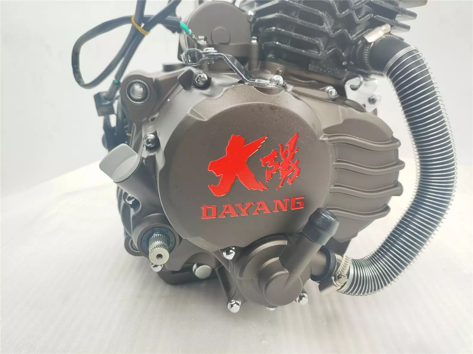 DAYANG 250cc Motorcycle Engine Single Cylinder 4 Stroke Style Wolf water-cooled Method Origin Ignition CDI Start Place Kick