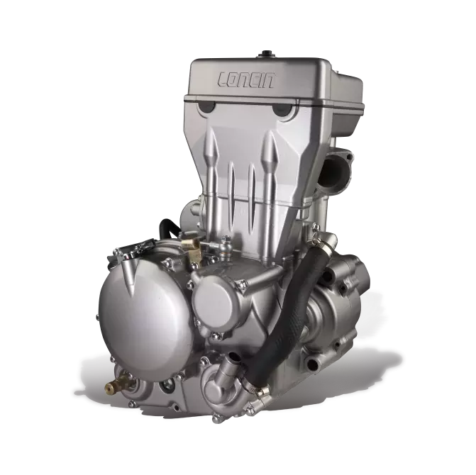 Beautiful high quality China LIFAN/LONCIN/ZONGSHEN/DAYANG 300cc motorcycle tricycle engine bicycle engine for sale