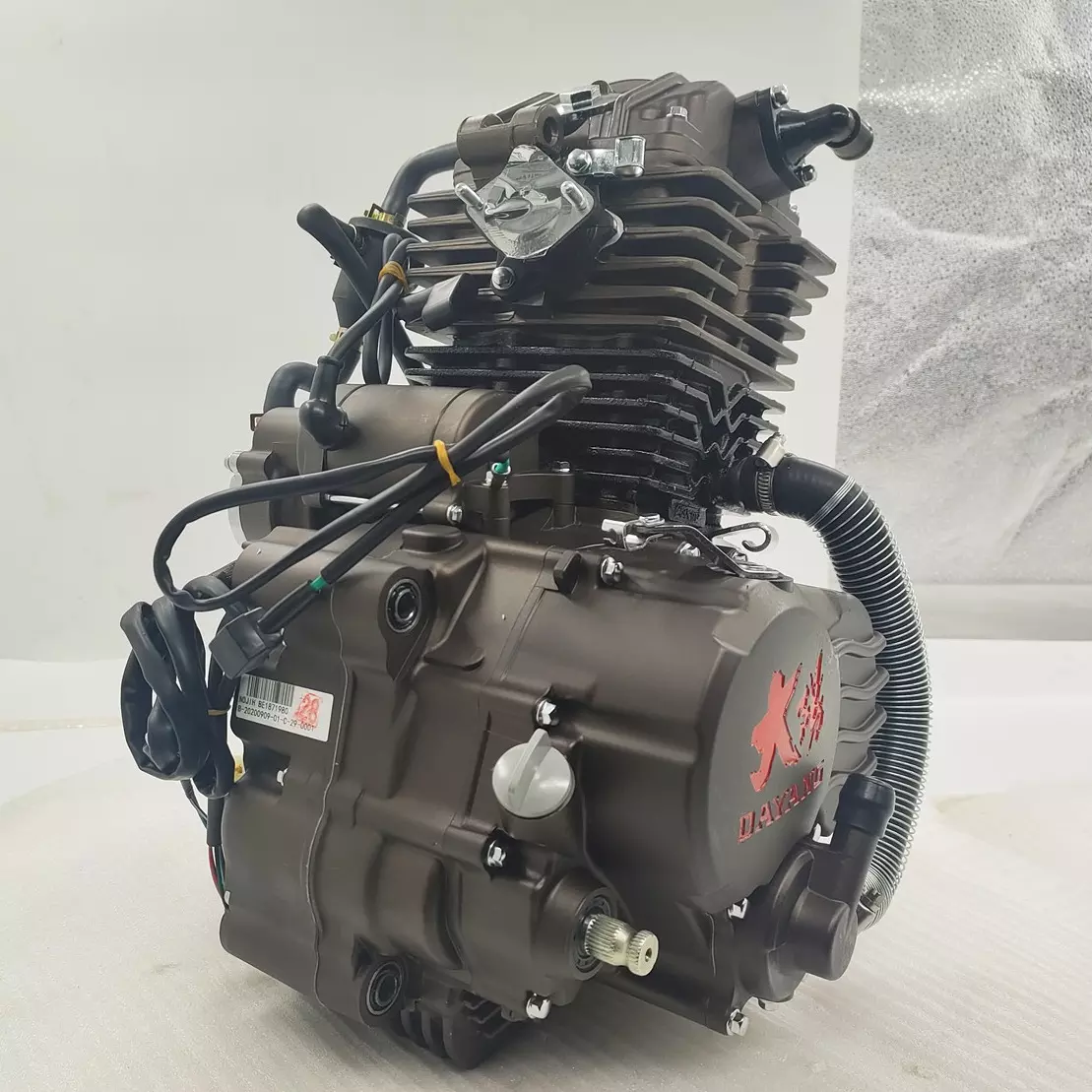 DAYANG 250cc Motorcycle Engine Single Cylinder 4 Stroke Style Wolf water-cooled Method Origin Ignition CDI Start Place Kick