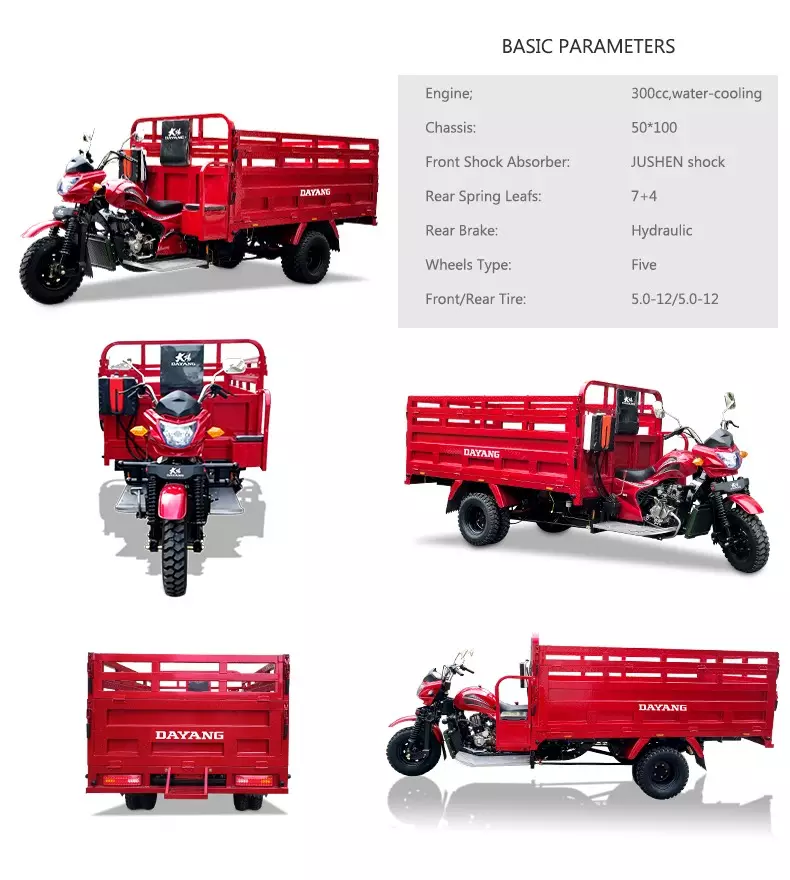 Hot selling New Export Popular Model farm adult Petrol Type  ethiopia selling cargo petrol motor tricycle