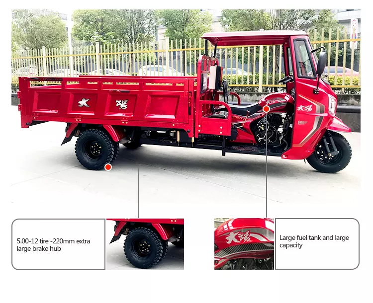China DAYANG Gasoline Tricycle Lifan 300cc Engine 3 wheel scooter disabled custom Cold chain with cargo for adult