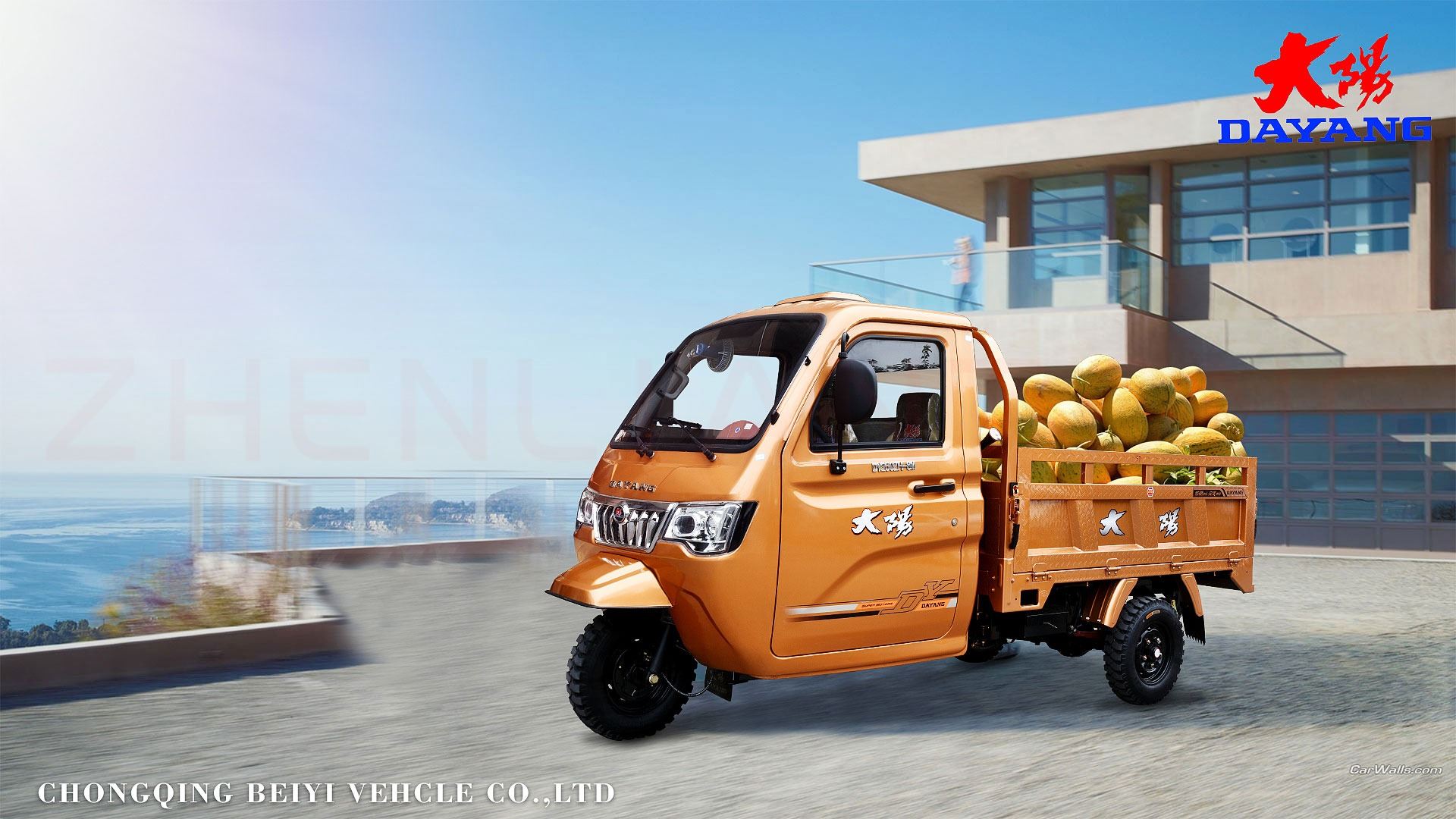 Chinese inter item 250cc enclosed cabin motor tricycle