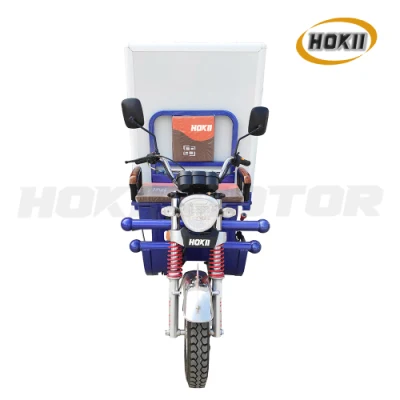 New Model 125cc Water Cooled Gasoline Engine Booster Rear Axle Van Cargo Tricycle for Sale