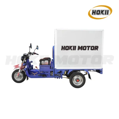 Chinese Manufacturer 125cc 3 Wheel Motorcyce Water Cooled Engine Disabled Cargo Tricycle Booster Rear Axle with Van Box for Goods Transport