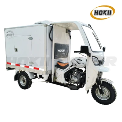 China Hokii Motor Manufacturer New Model Petrol 150cc Air Cooled Gasoline Engine Ice Cream Tricycle Frozen Tricycle Cargo Tricycle for Food and Fruit Transport