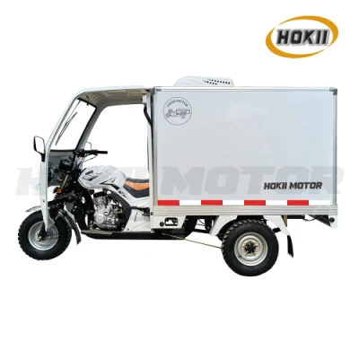 China Hokii Motor Manufacturer New Model Petrol 150cc Air Cooled Gasoline Engine Ice Cream Tricycle Frozen Tricycle Cargo Tricycle for Food and Fruit Transport