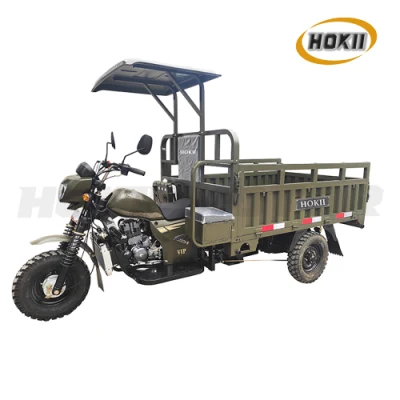 Hokii Manufacturer Popular Model Heavy Load Cargo Tricycle