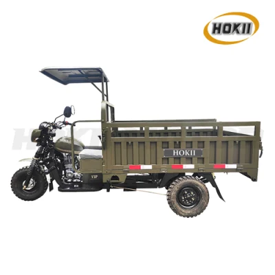 Hokii Manufacturer Popular Model Heavy Load Cargo Tricycle