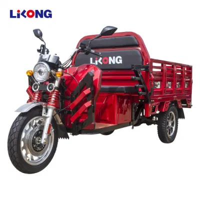 Hot Sale 3 Wheel Electric Motorcycle for Cargo Delivery E-Bike Tricycle Motorcycle Loader