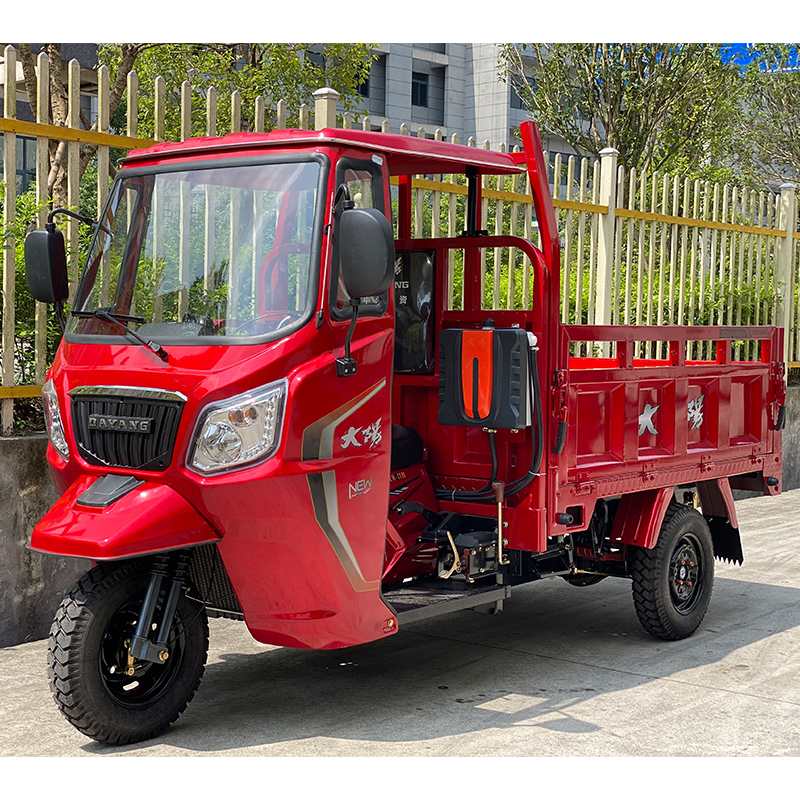 200cc Customized Cargo Motor Tricycle