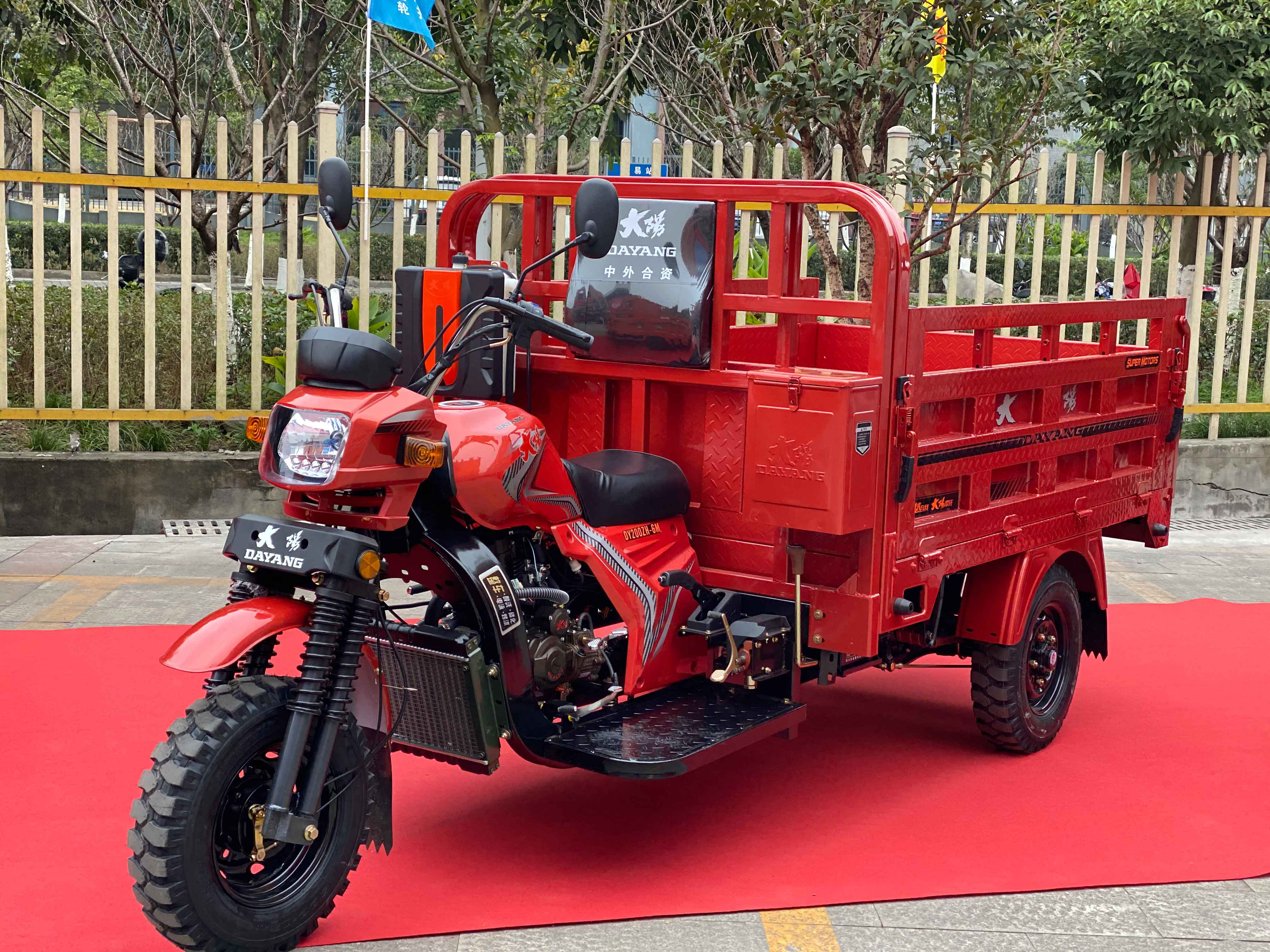 Adult Motorized Tricycle for Cargo Use