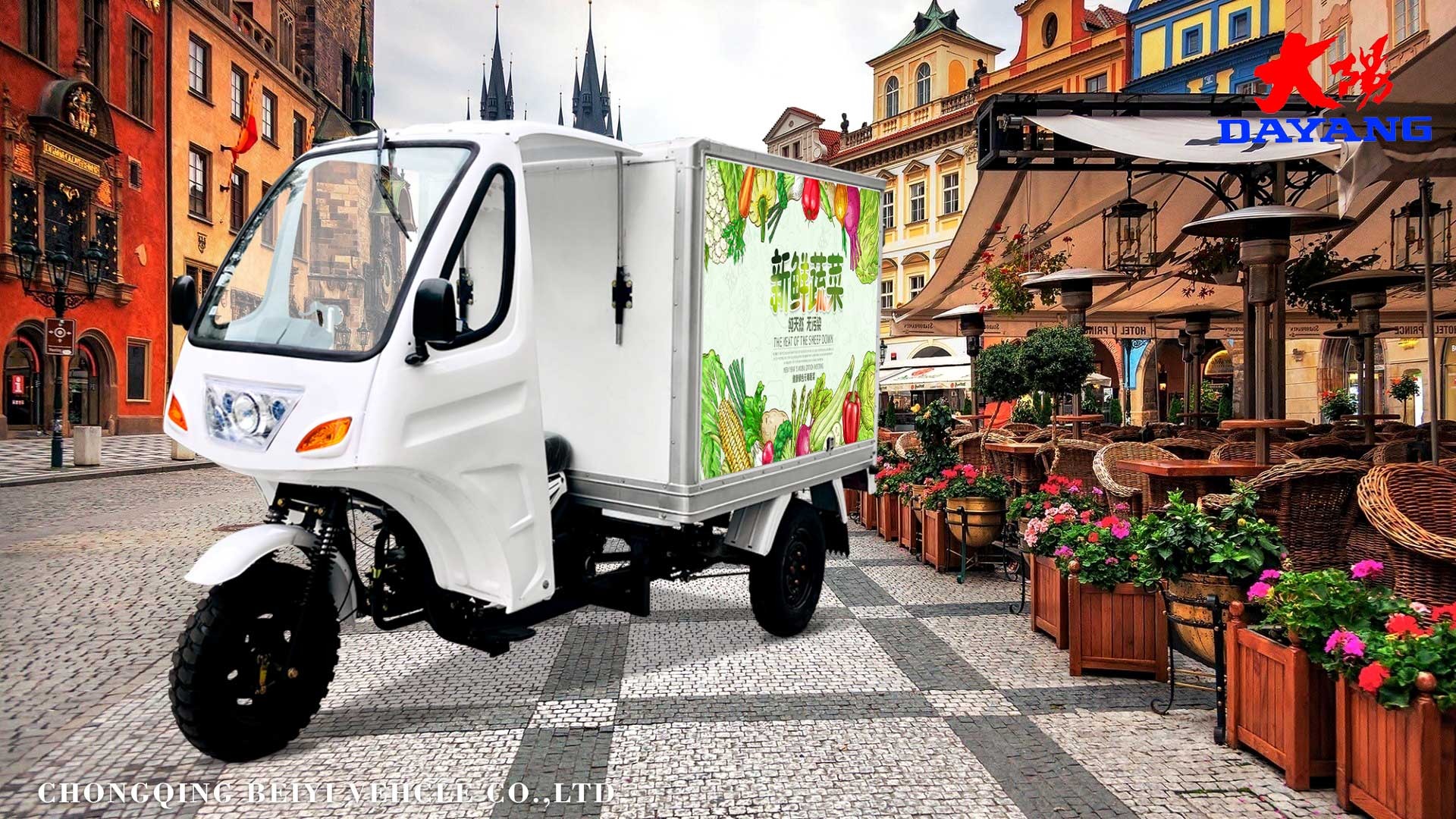 DY-B1 promotional mobile kitchen street food kiosk concession mobile bbq food trailer tricycle food cart