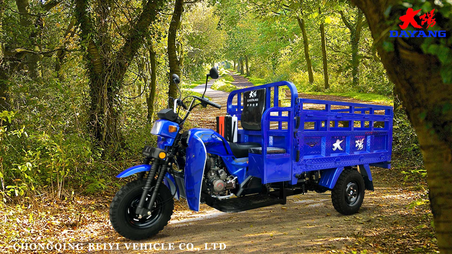 Motocicleta de carga de tres ruedas con refrigeración por aire DX-1