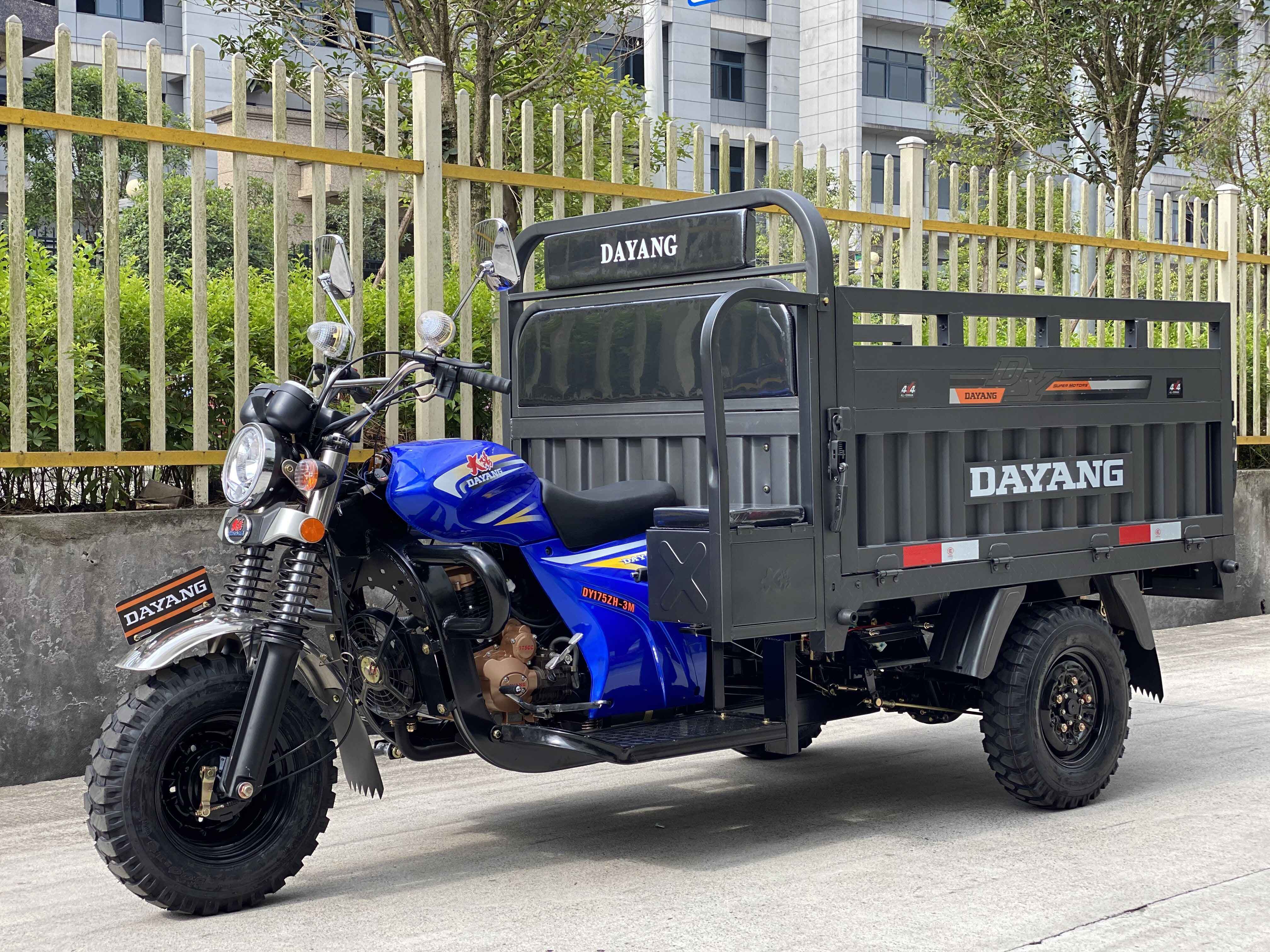 DZ-2 Heavy loading truck cargo tricycle 175cc/200cc/250cc