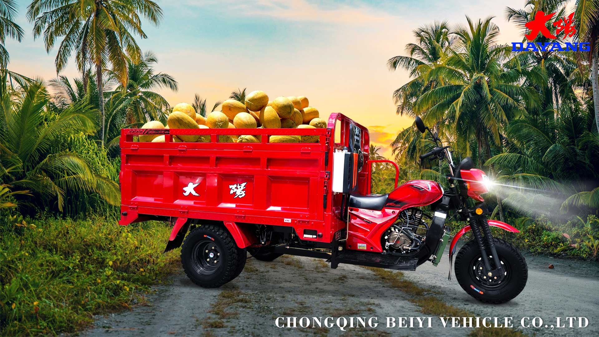 Q3 hot selling dayang tricycle models at Peru with 200cc/250cc/300cc powerful engine