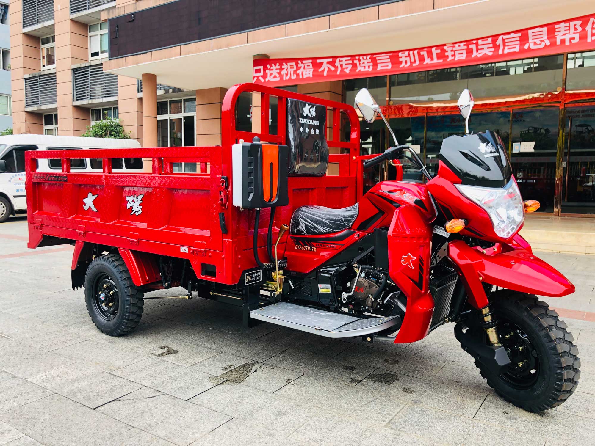 DY-R1 China hot selling cargo tricycle models with 250cc/300cc engine