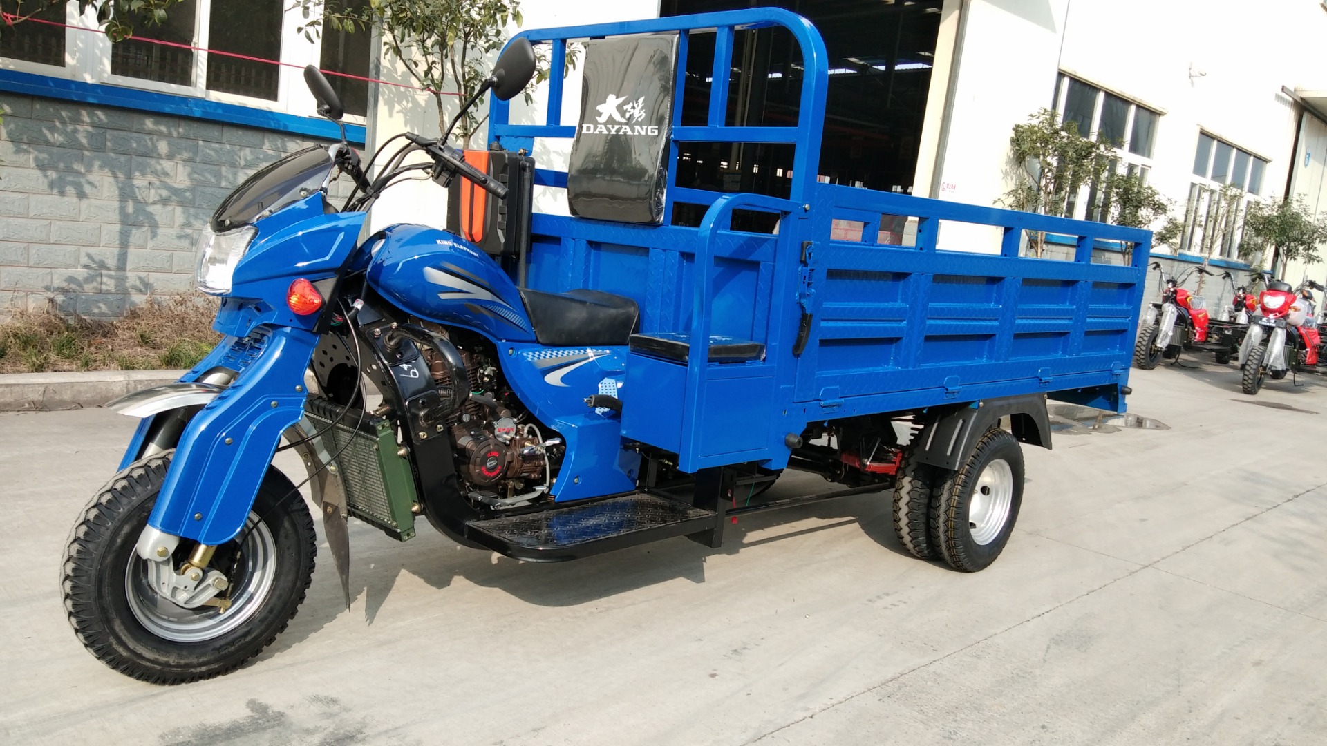 Q3-5B 250cc Heavy Loading Truck Cargo Tricycle
