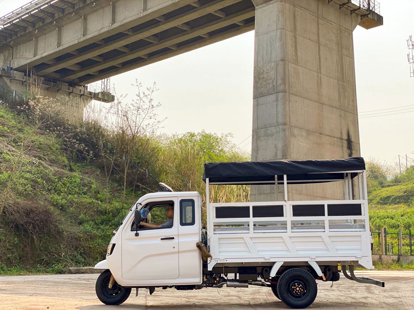 DY-P2 350CC  heavy Loading Cargo Tricycle with Cover