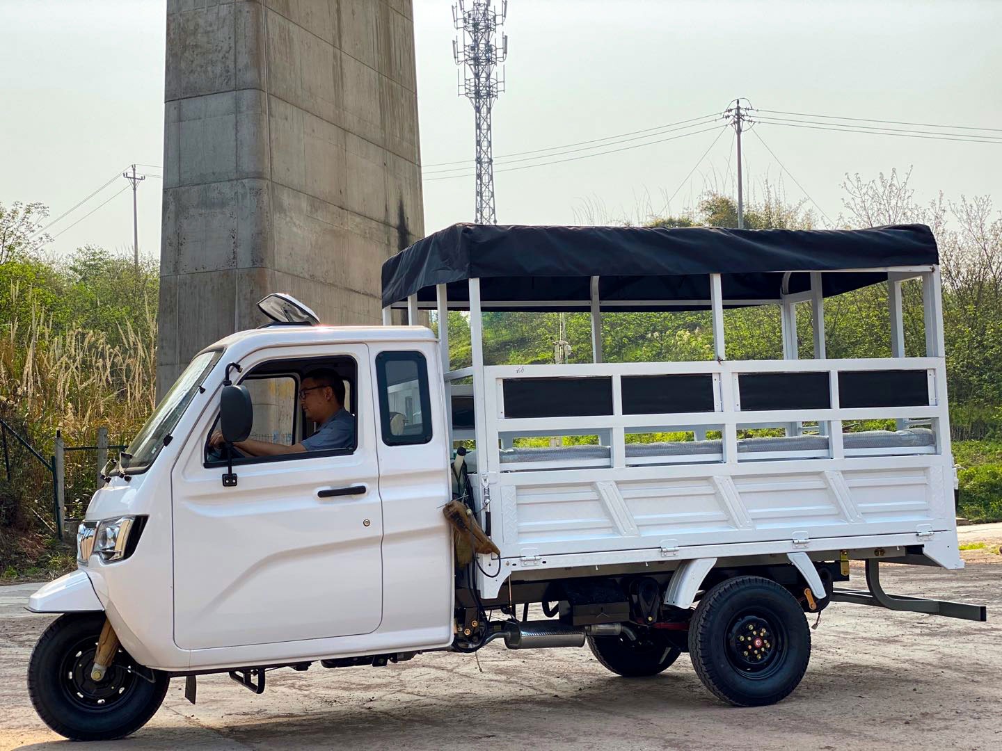 DY-P2 350CC  heavy Loading Cargo Tricycle with Cover