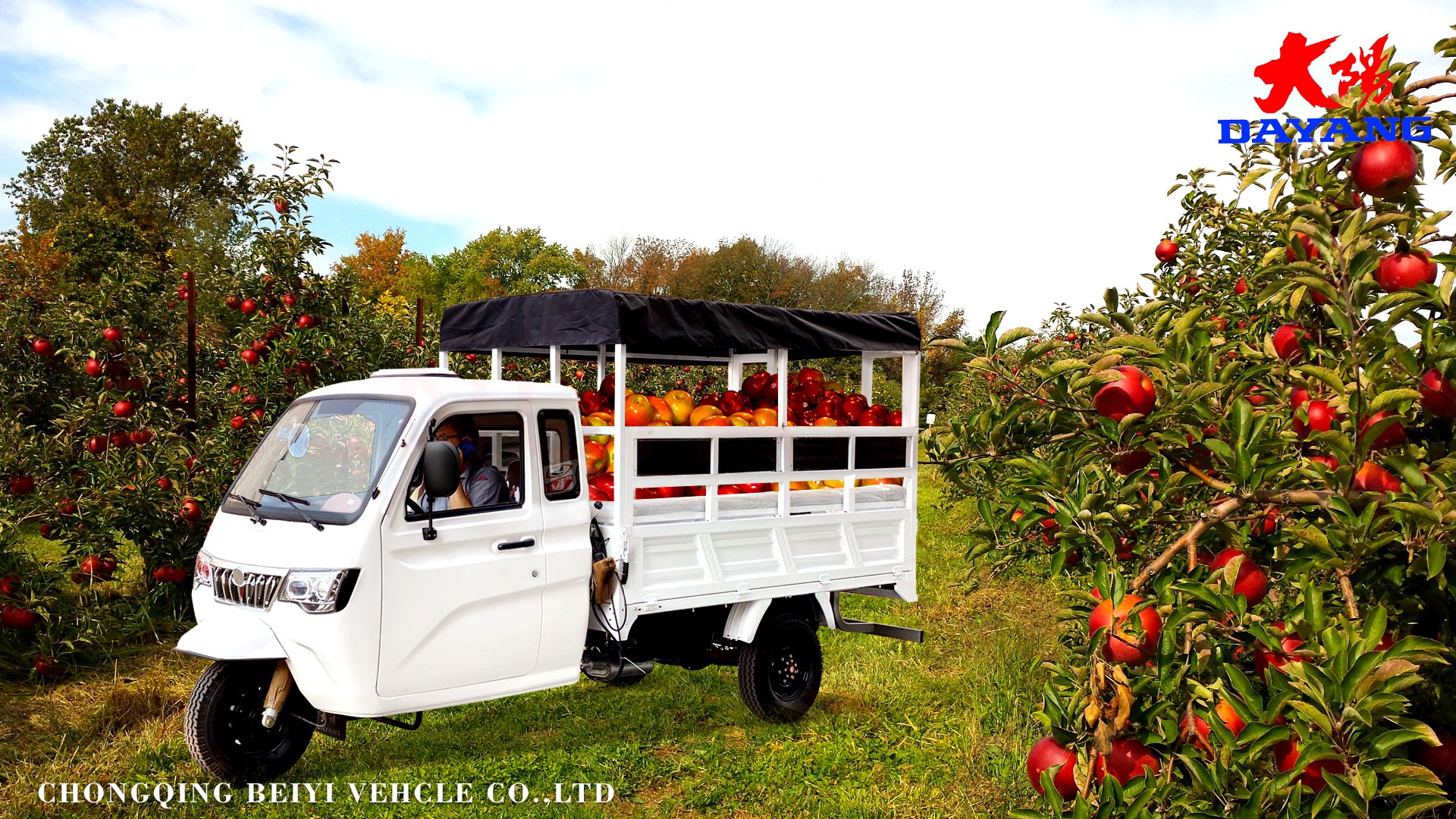 DY-P2 Enclosed cabin and heavy loading cargo tricycle with plastic cargo cover