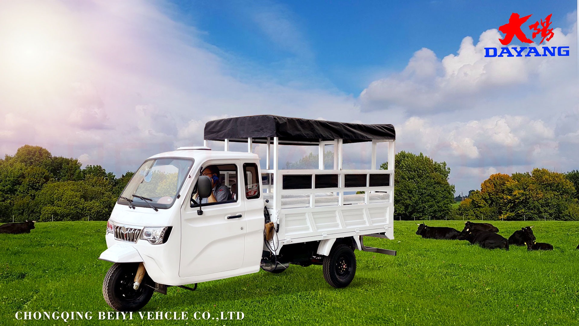 DY-P2 Enclosed cabin and heavy loading cargo tricycle with plastic cargo cover