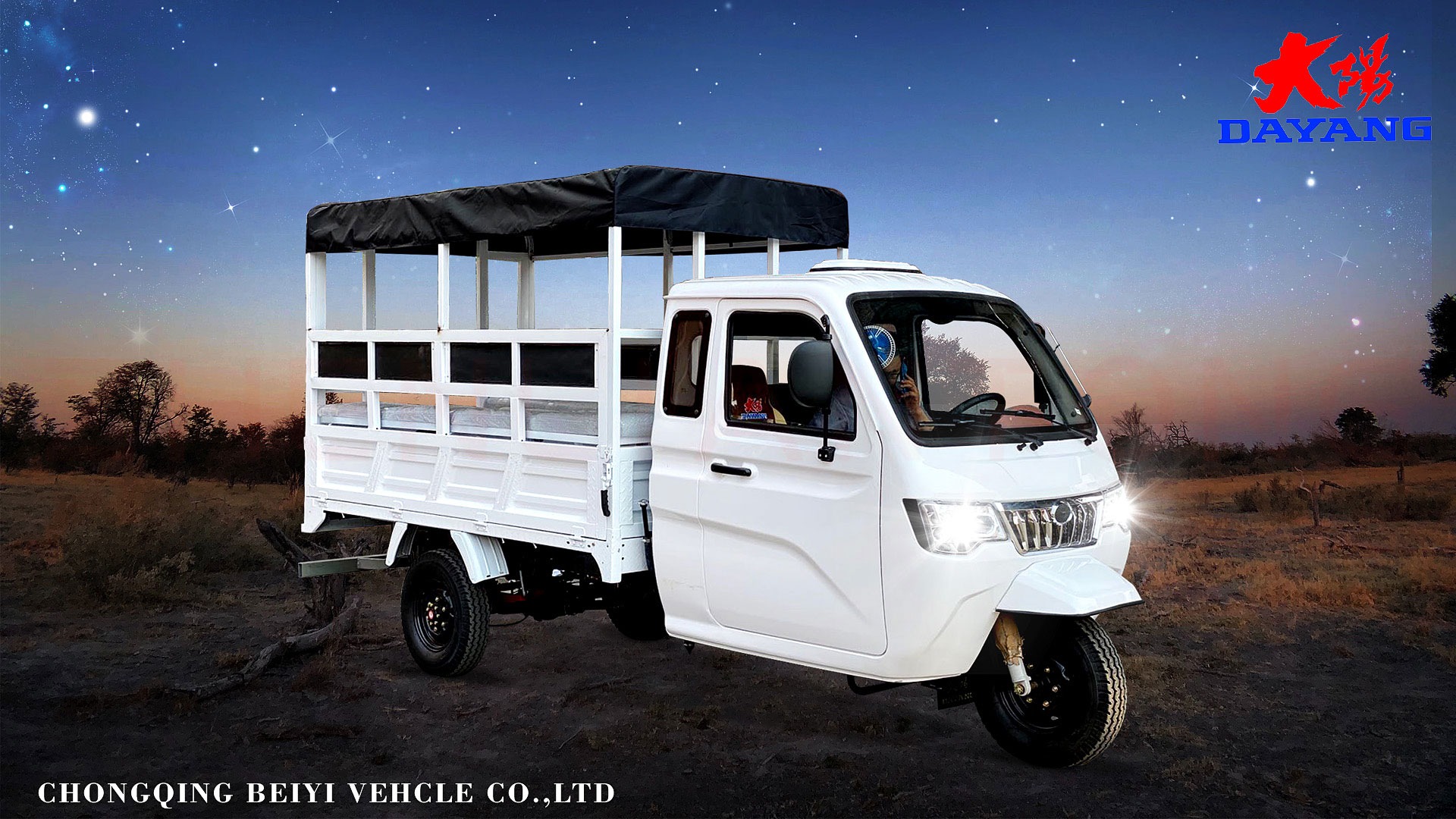 DY-P2 Enclosed cabin and heavy loading cargo tricycle with plastic cargo cover