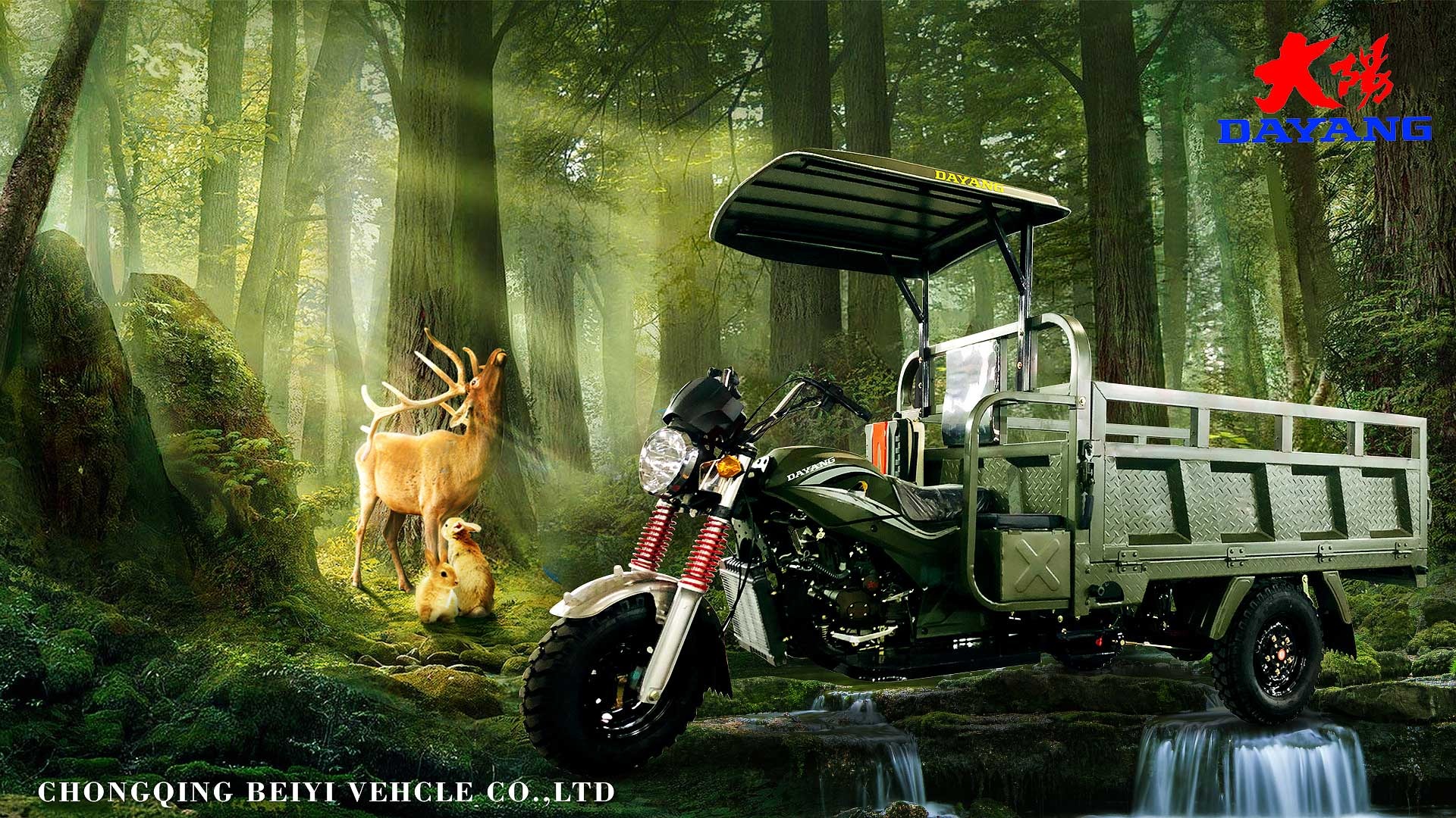 DY-TP1 Best-selling tricycle models in Tanzania and African countries with 200cc engine