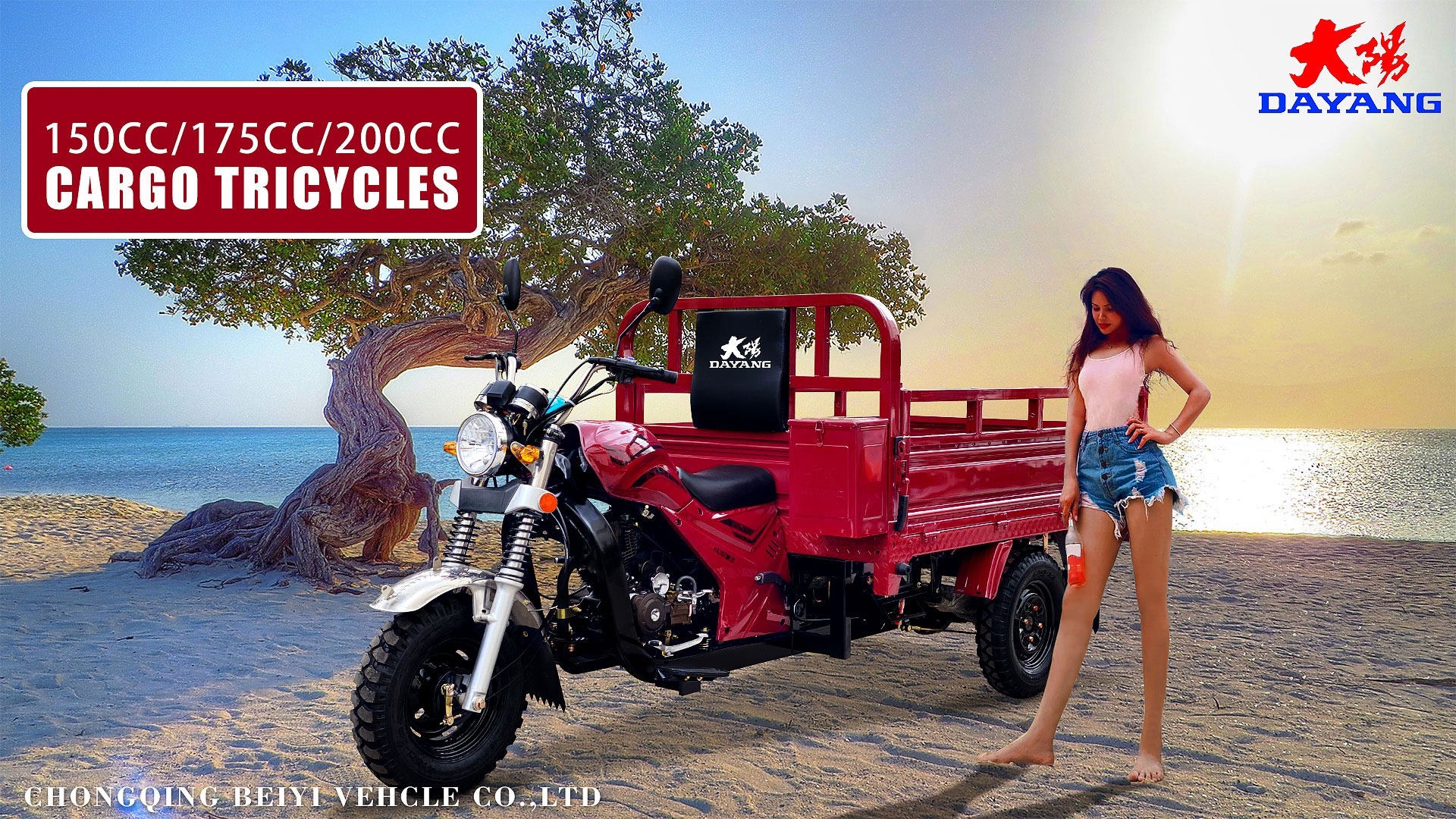 Dump Tricycle Motorcycle Cargo Agricultural Tricycle 150cc/200cc Motorized Tricycle