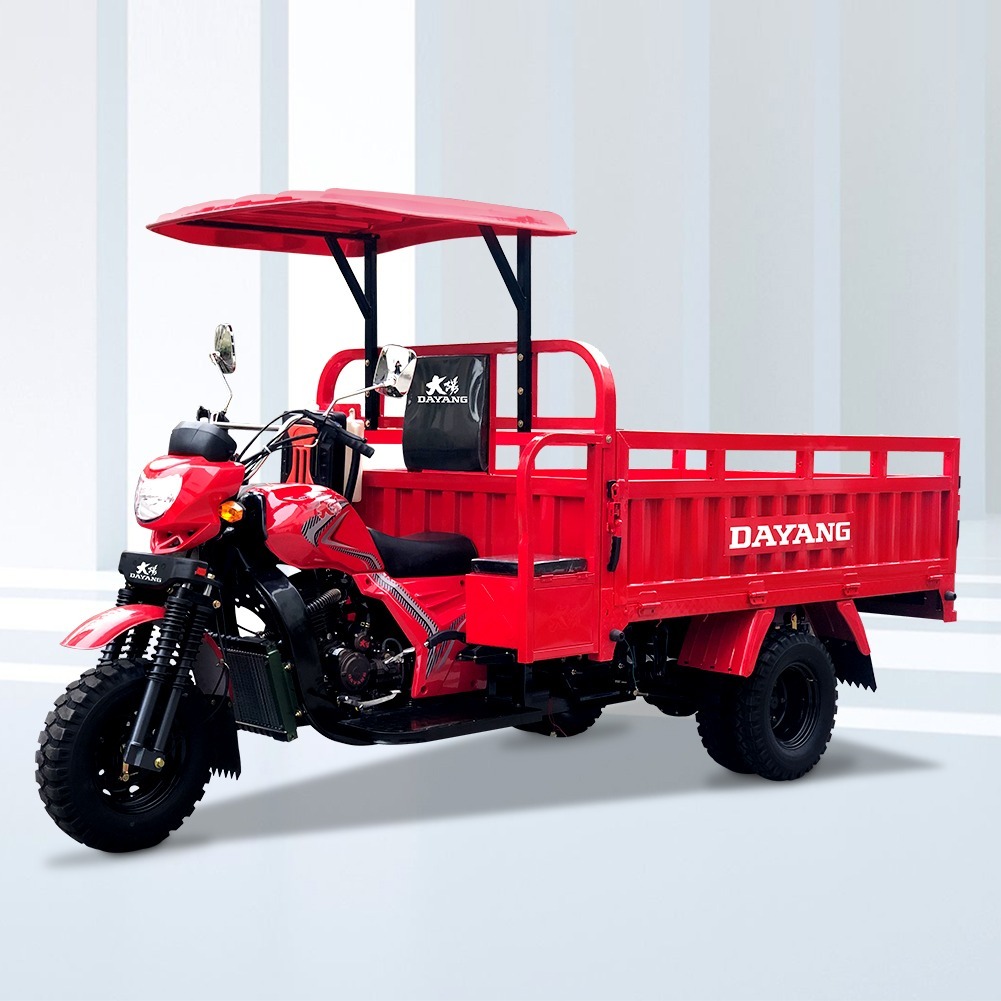 DY-H8 hot selling and popular tricycle models at Africa with powerful engine 250cc/300cc 350cc tricycle