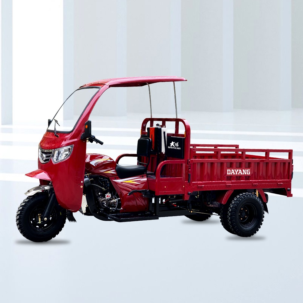 DY-1 cargo tricycle