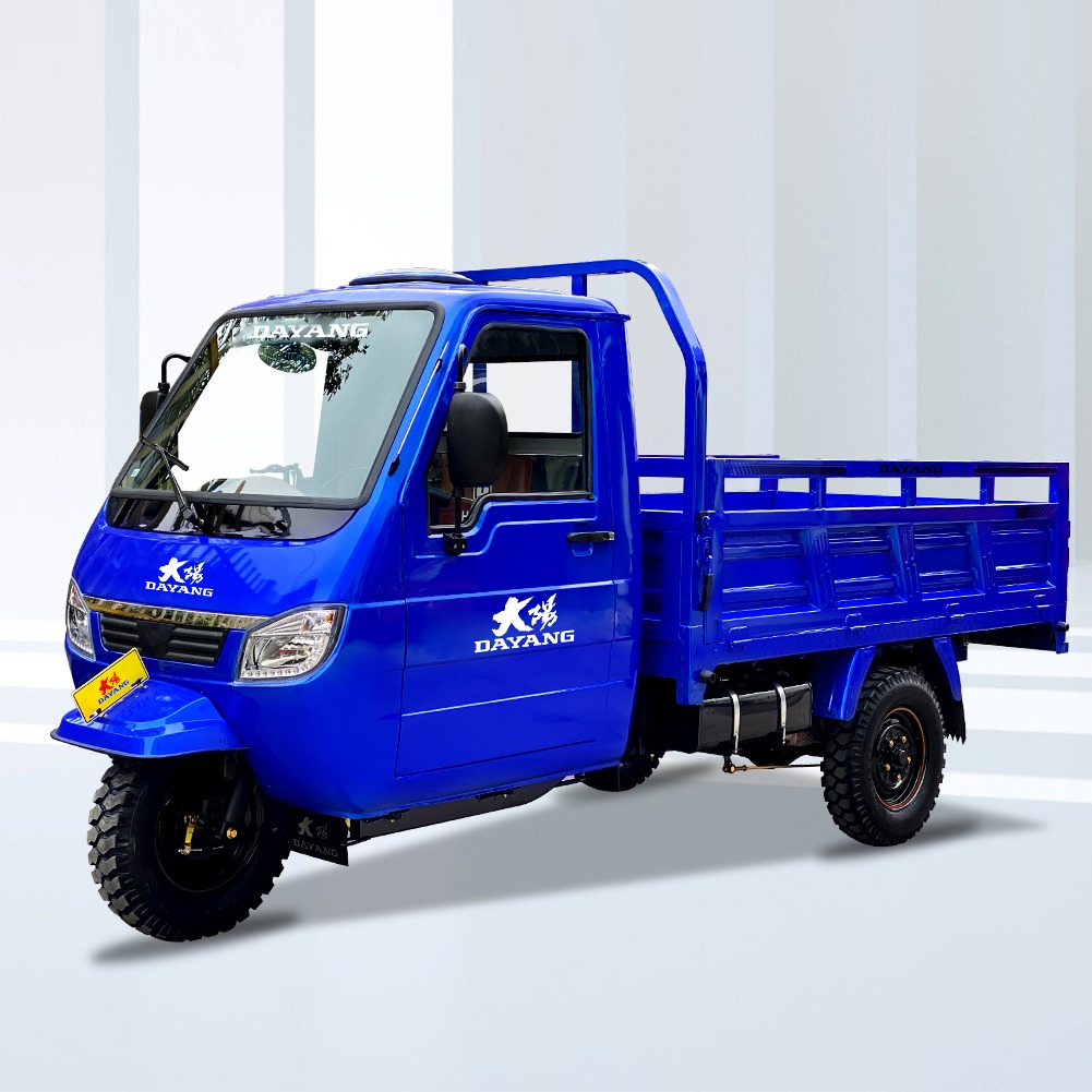 DY-XIAOKE cargo tricycle