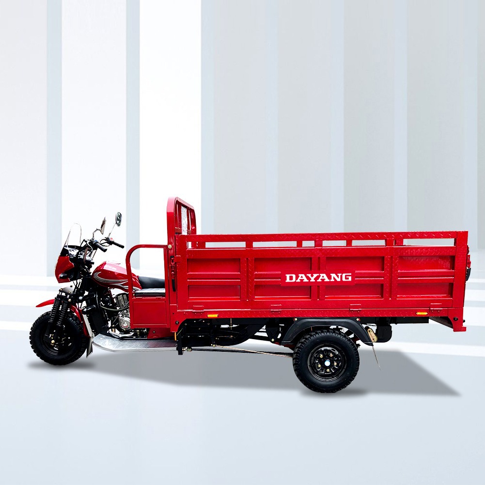 Tanzania Stability cargo 300cc cargo motorcycle tricycle goods motorcycle tricycle