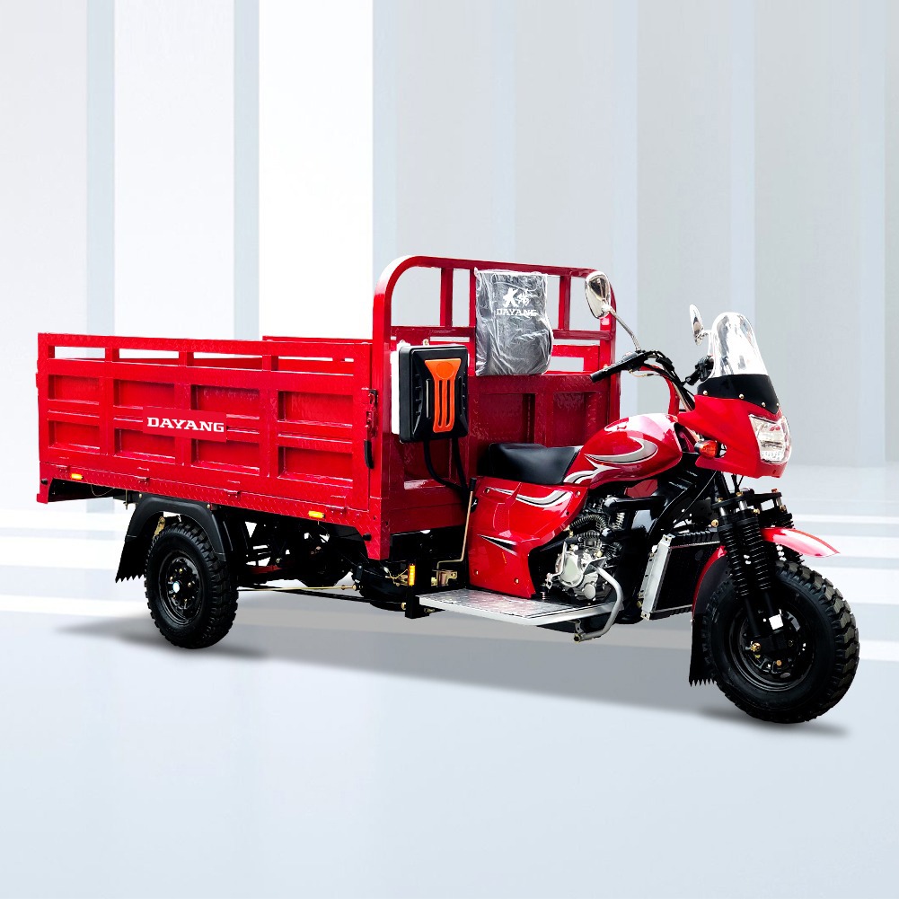 DY-KT1 Africa hot selling  heavy loading cargo tricycle models with 200CC powerful engine