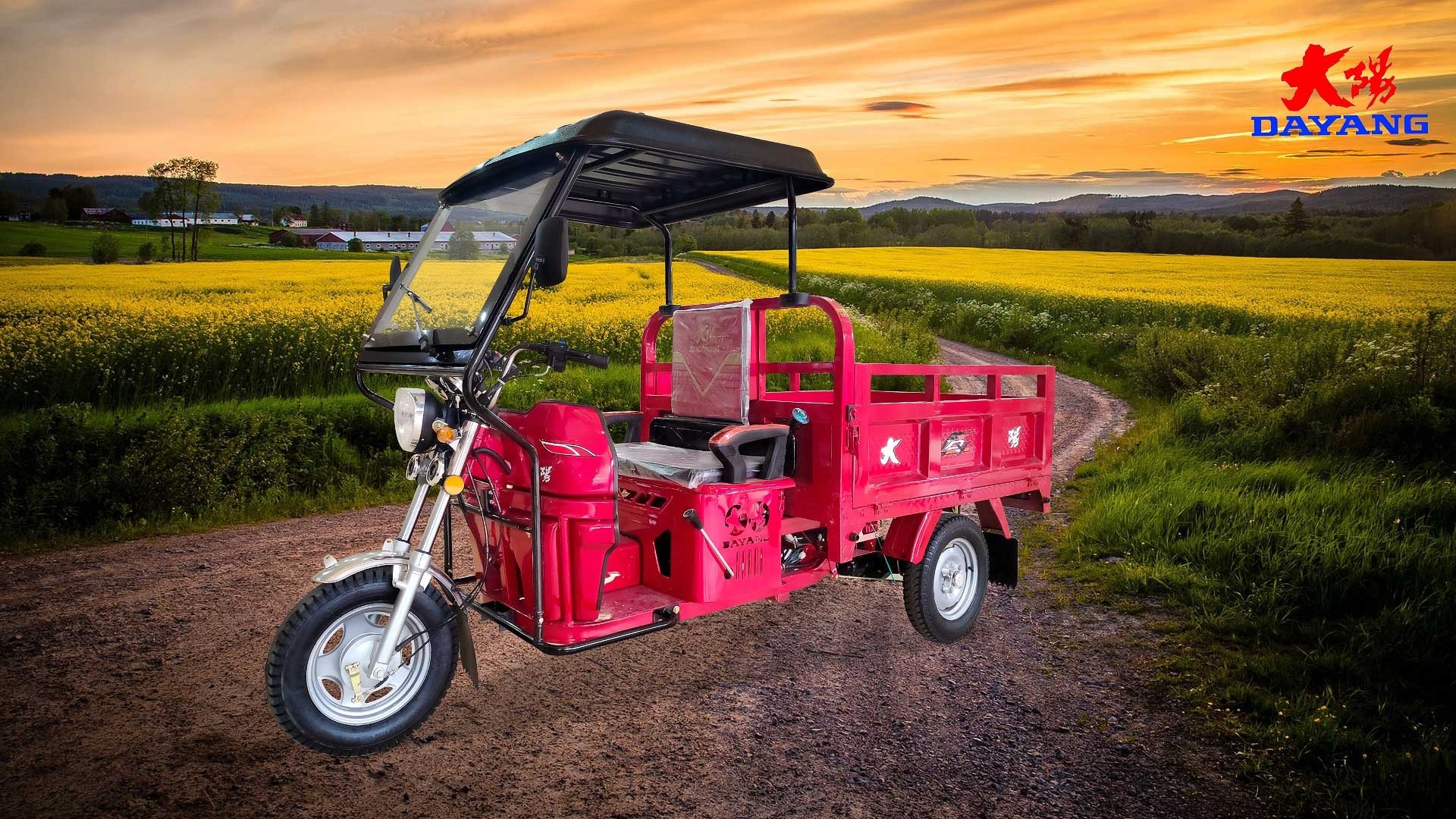 175CC Light Loading Truck Tricycle