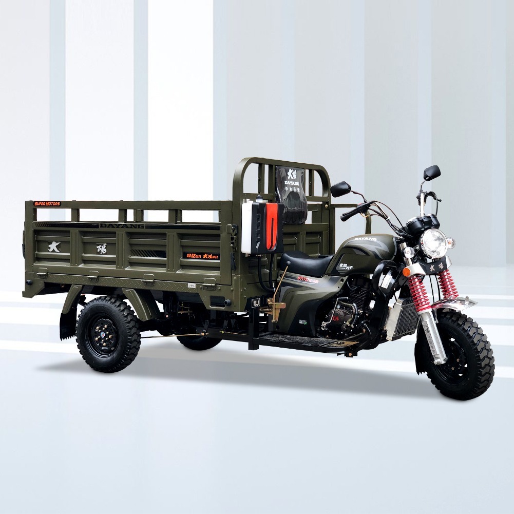 200CC Strong Cargo Tricycle Delivery Van