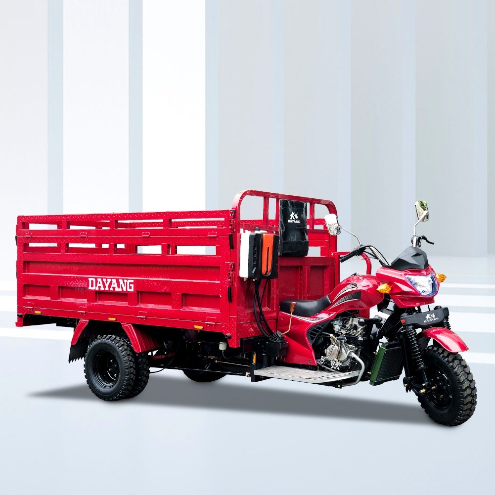 DY-Q8 ChongQing dayang factory hot selling three wheel motorcycle model with lifan 250cc and 300cc powerful engine cargo tricycle