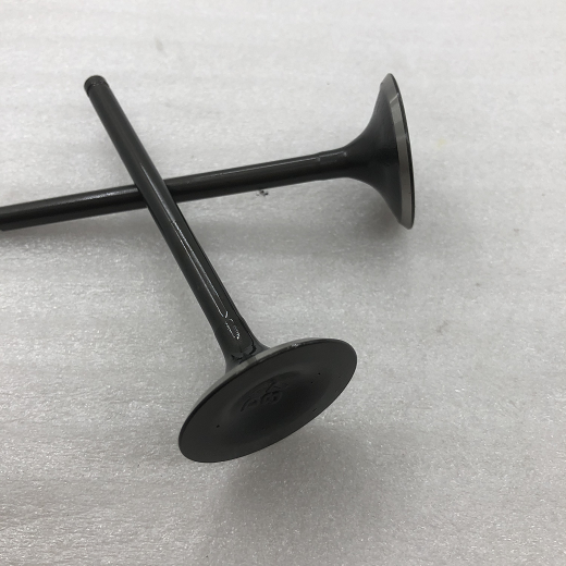 CG200-A排气门-重庆三轮摩托车配件-BY