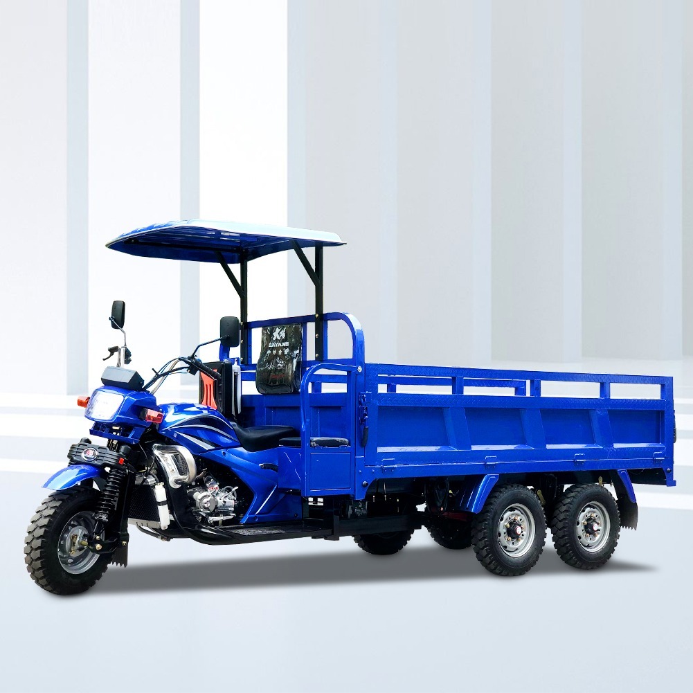 Motorized Gas Powered Farm Cargo Truck Tricycle /Double Rear Axle Three Wheel Truck