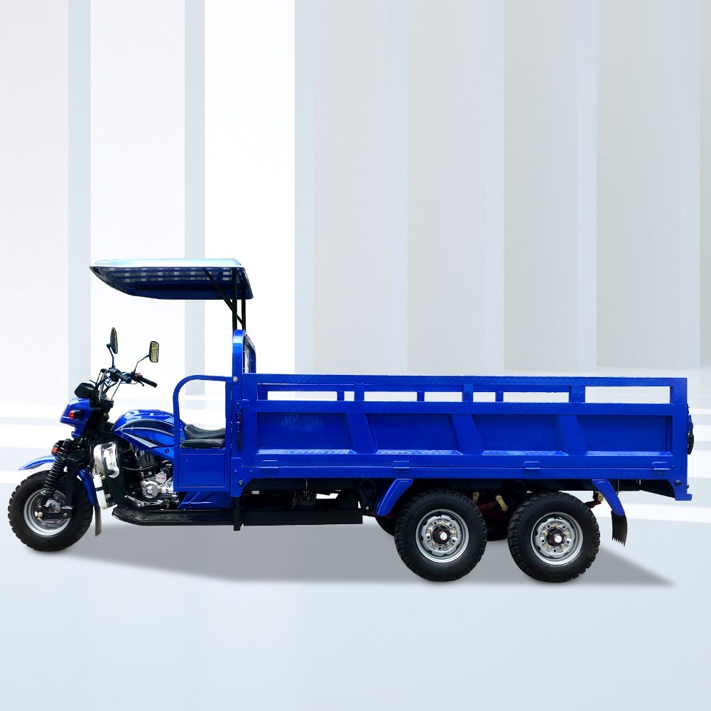 Motorized Gas Powered Farm Cargo Truck Tricycle /Double Rear Axle Three Wheel Truck