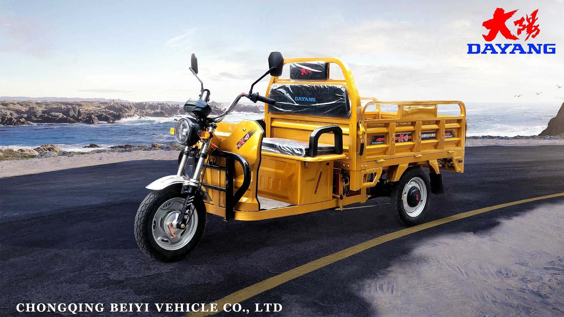 China Supplier 1100W Electric 3 Wheel Motorcycle