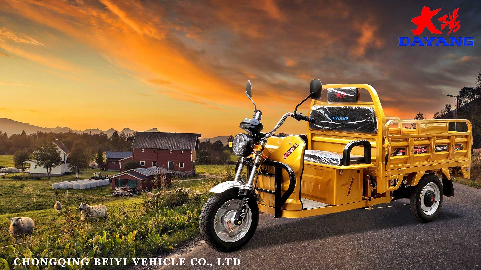 China Supplier 1100W Electric 3 Wheel Motorcycle