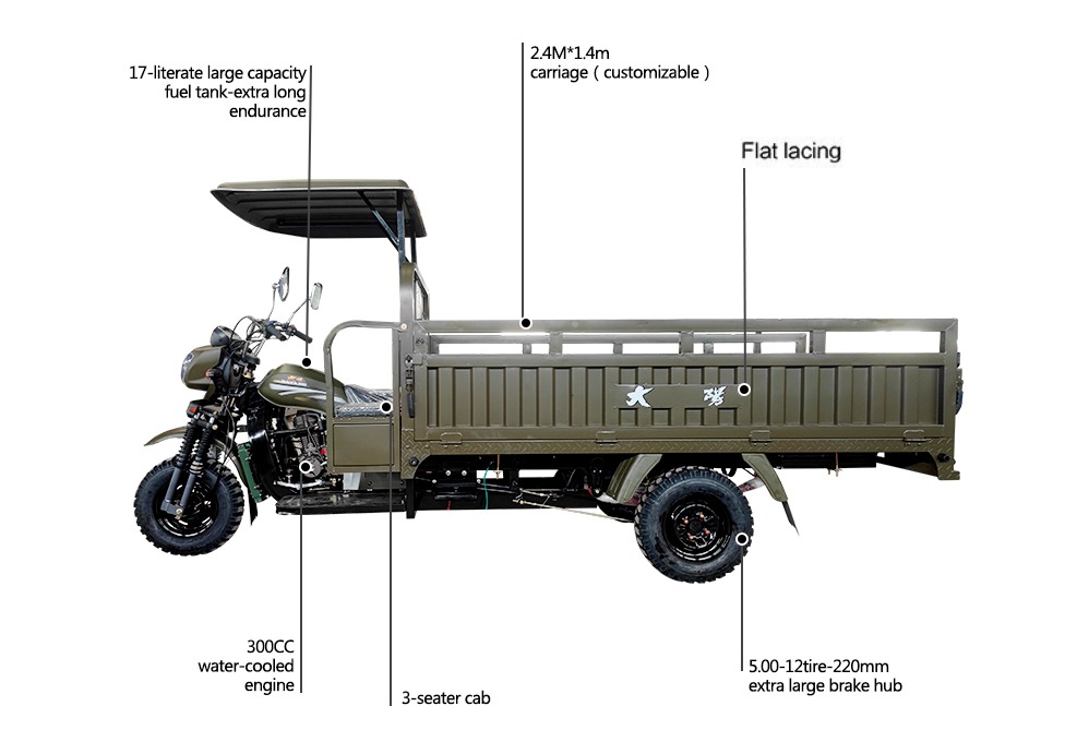 DY-H2A China motorized cargo tricycle 3 Wheel  Motorcycle 300cc powerful engine with Steel Frame and Car Axle