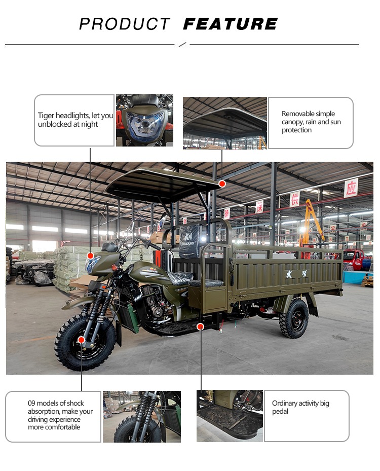 DY-H2A China motorized cargo tricycle 3 Wheel  Motorcycle 300cc powerful engine with Steel Frame and Car Axle
