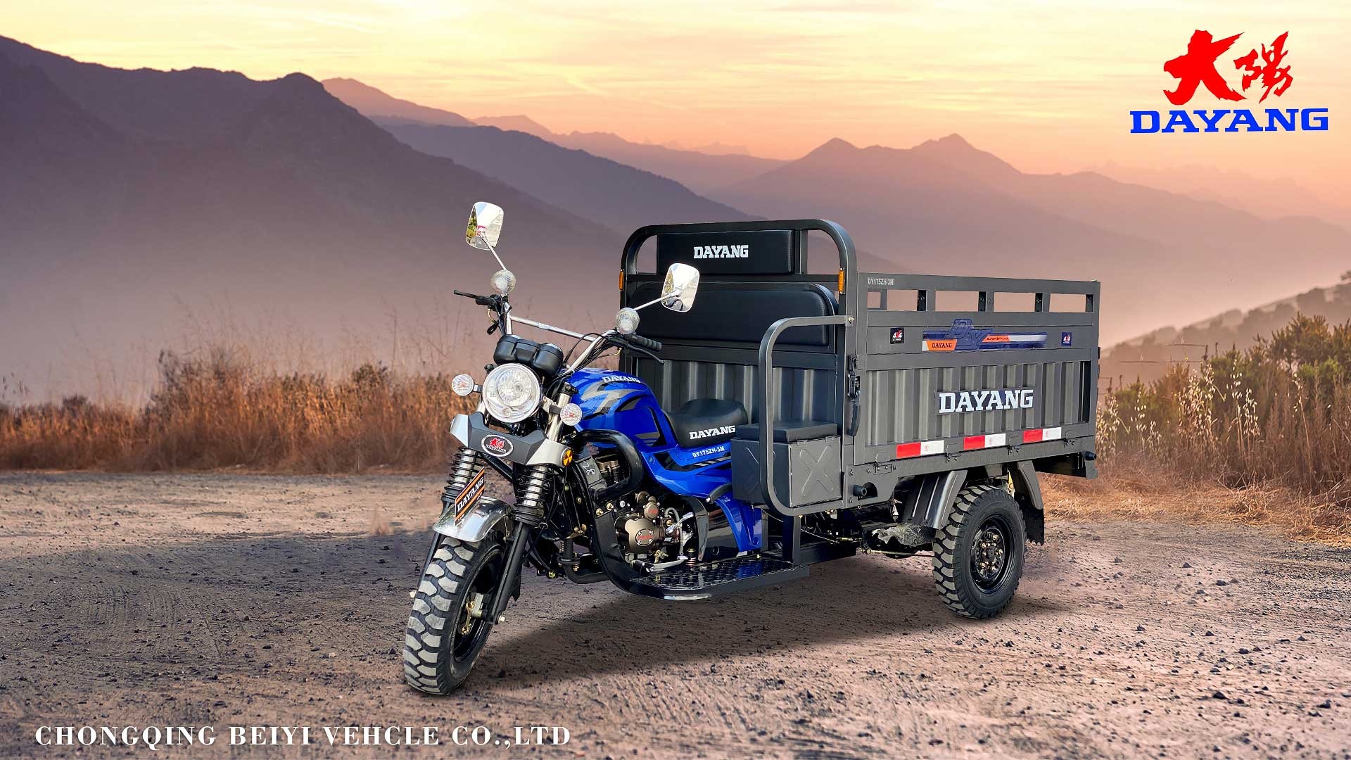 DAYANG Wholesale Factory direct supply 250cc cargo motorcycle tricycle Motorized 3 Wheel Cargo Motorcycle 