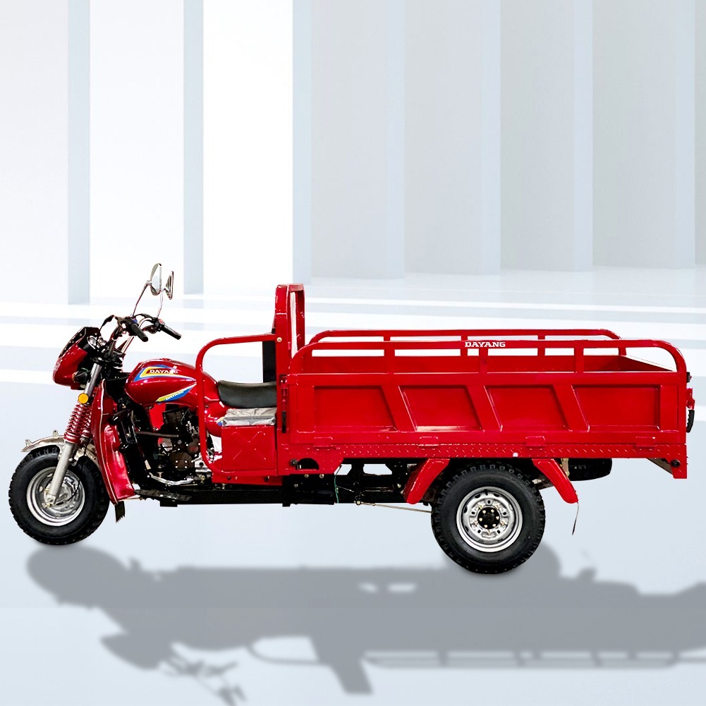 DY-AF1 Africa hot selling models at Somali of 175CC 200cc 250cc cargo tricycle