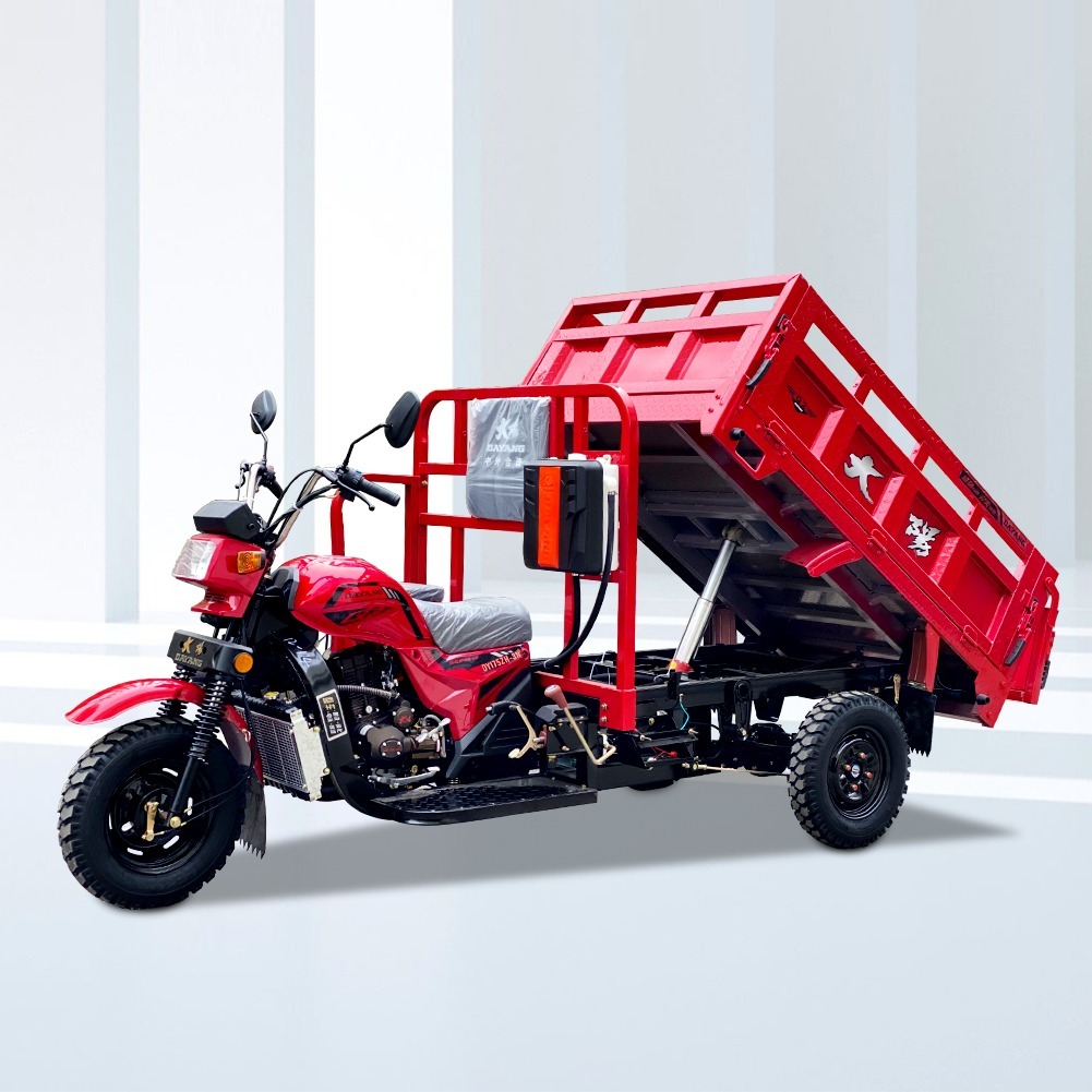DY-Q2C China hot selling models of Hydraulic tipping system 200CC 250CC 300CC cargo tricycle
