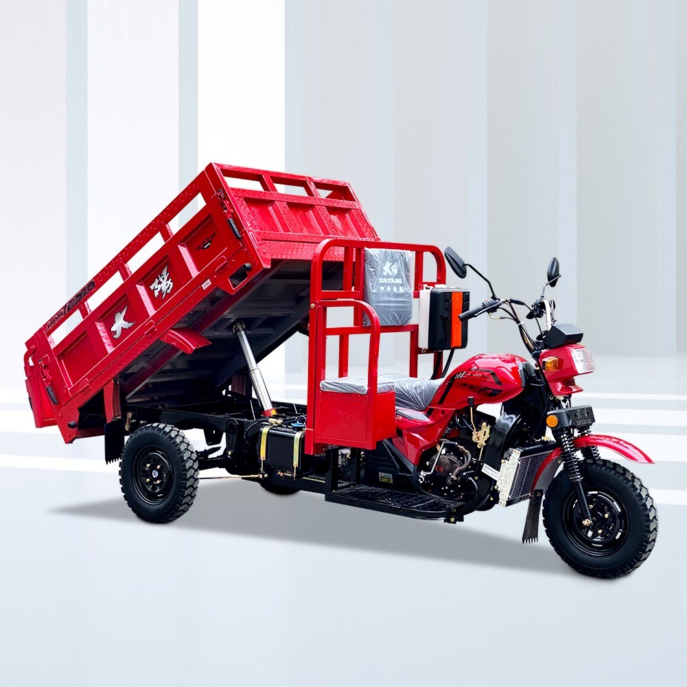 Agricultural Cargo Three Wheel Motorcycle