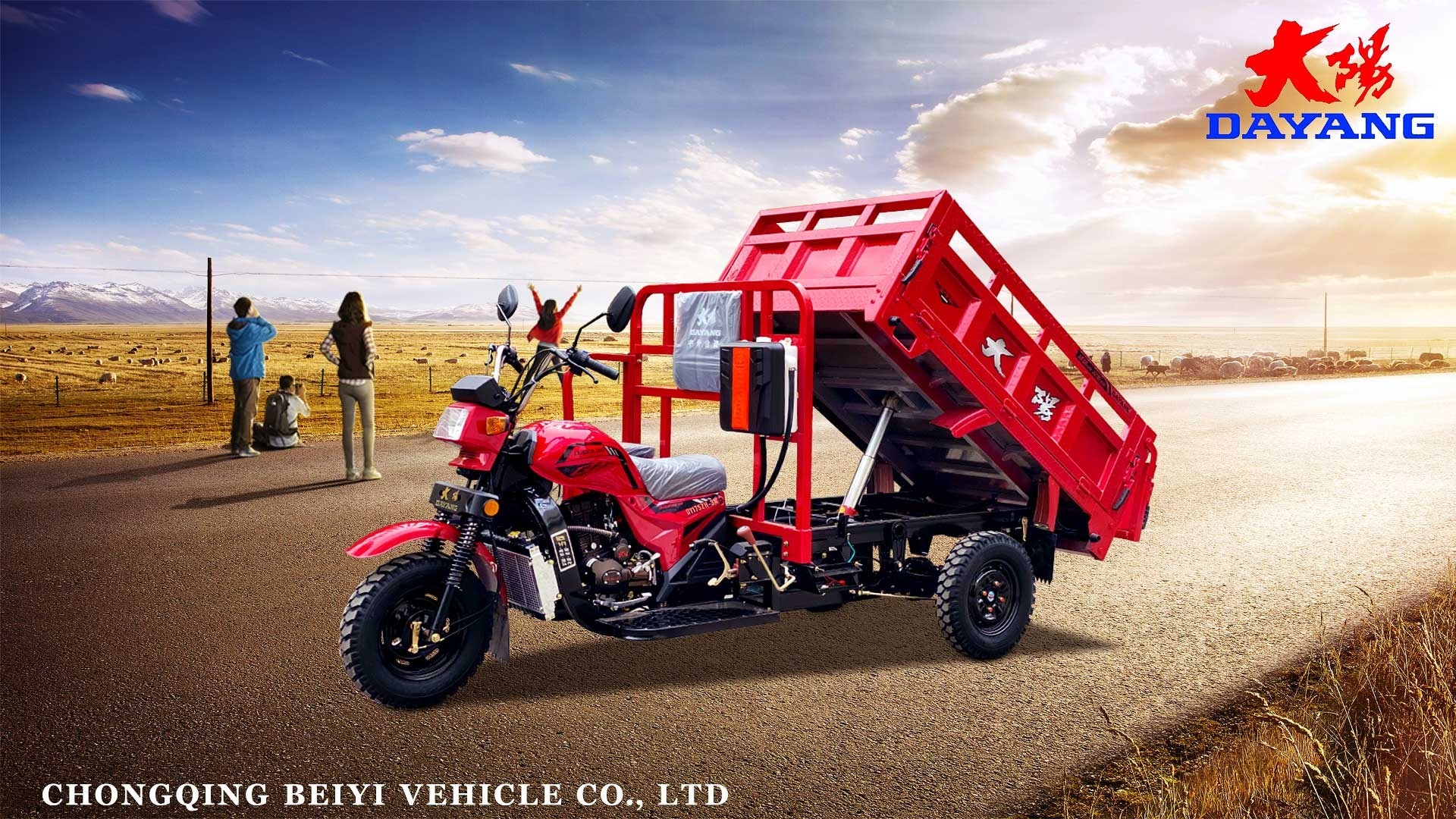 DY-Z2B 200CC cargo tricycle motorcycle for selling